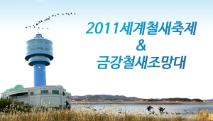 2011 군산세계철새축제