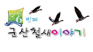 2009 군산세계철새축제